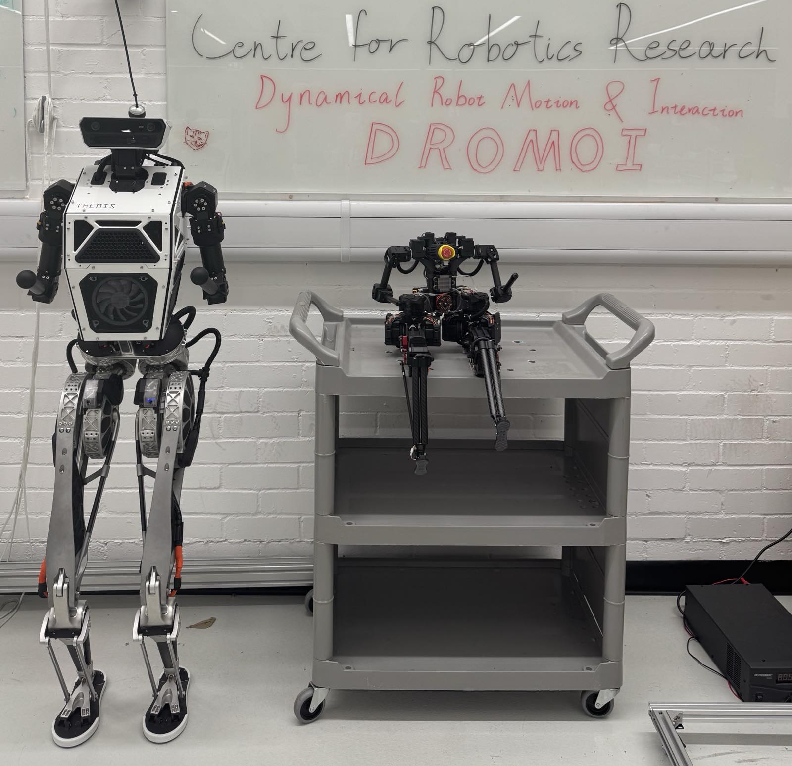 Humanoid Robot